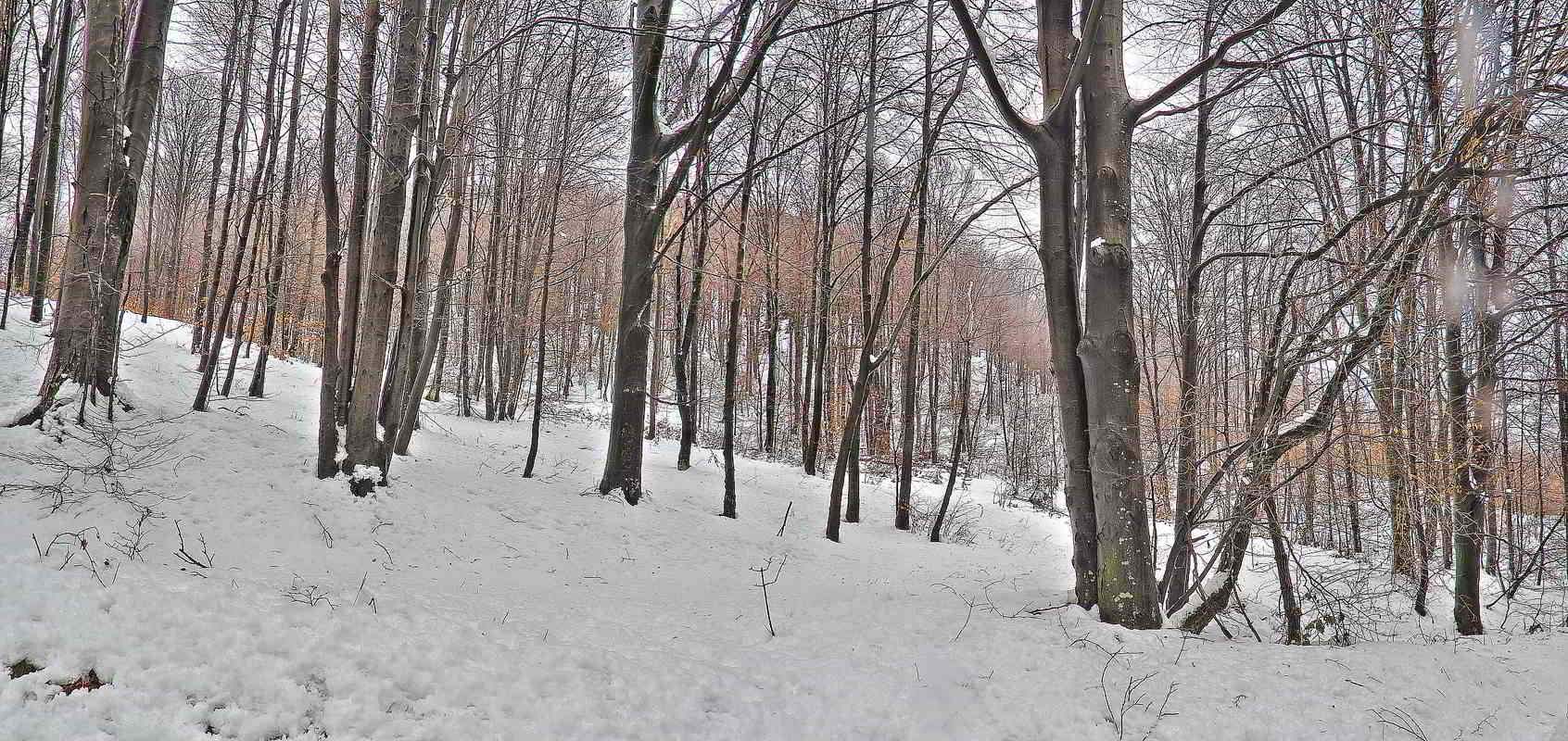 Nevicata in Valsesia